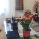 Dott.ssa Rossella Bianco Psicologa